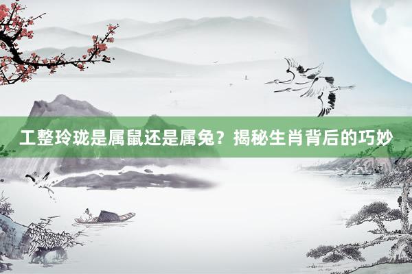 工整玲珑是属鼠还是属兔？揭秘生肖背后的巧妙